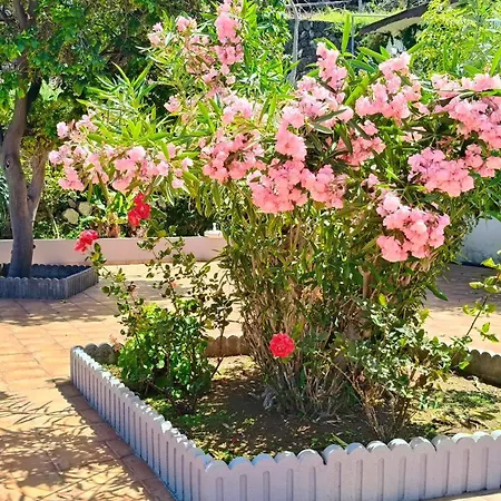 Duplex Sol Y Mar Apartmán *