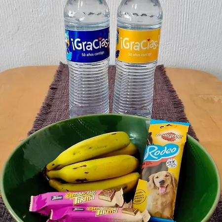 Duplex Sol Y Mar Apartmán Puerto de la Cruz (Tenerife)