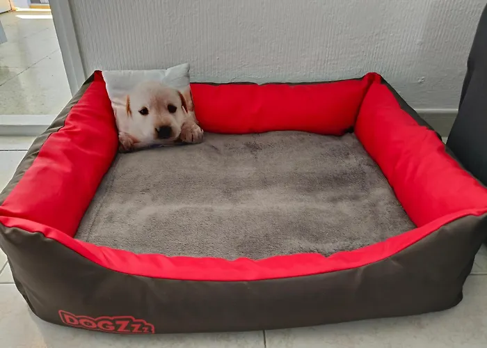 Apartament Duplex Sol Y Mar Puerto de la Cruz (Tenerife)